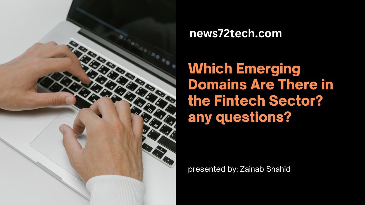 Which Emerging Domains Are There in the Fintech Sector?